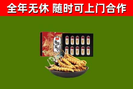 寿光回收冬虫夏草价格